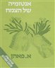 אנטומיה של הצמח