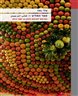 ספר המליץ — كتاب الترجمان המיוחס לפינחס הכהן בן יוסף הרבן : מהדורה מדעית בצירוף מבוא ופירוש