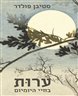 ערות בחיי היומיום