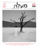 מעלה - כתב עת לביקורת ספרות - מעלה : גיליון 11