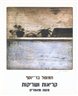 קריאות ושריקות : מסות ומאמרים